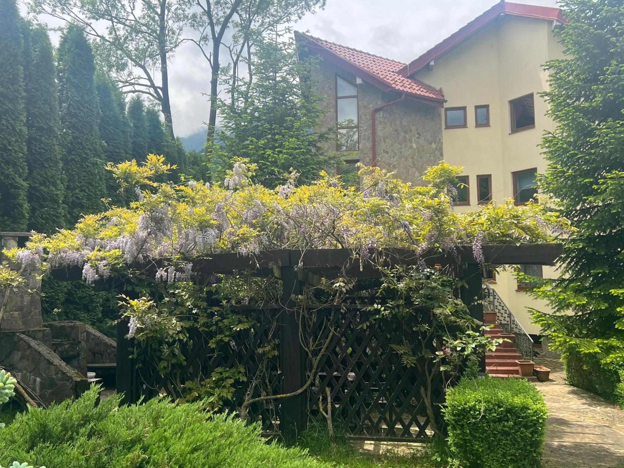 Wine Cellar Villa With Beautiful Garden In Sinaia - Busteni Poiana Tapului Bagian luar foto