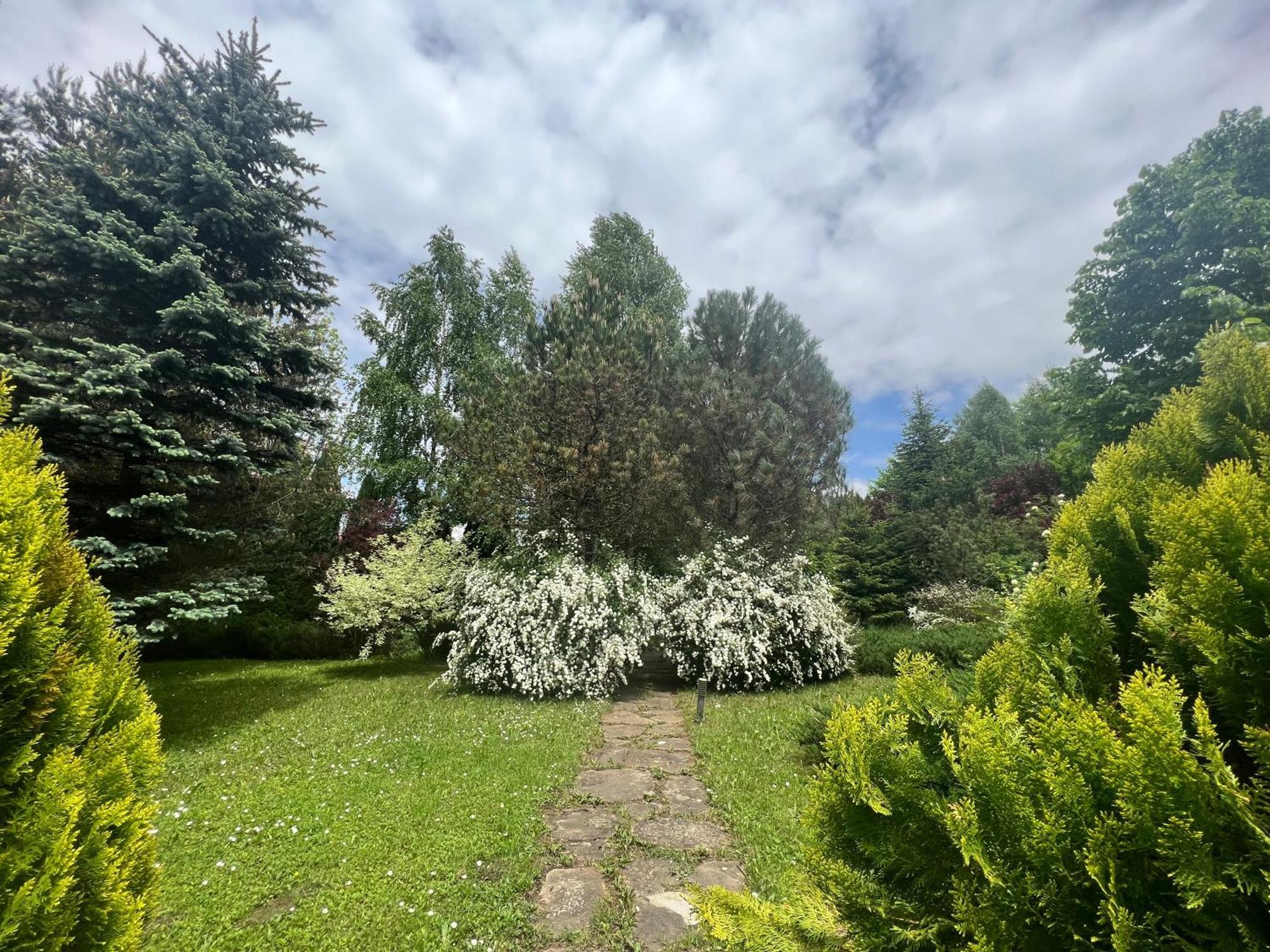 Wine Cellar Villa With Beautiful Garden In Sinaia - Busteni Poiana Tapului Bagian luar foto