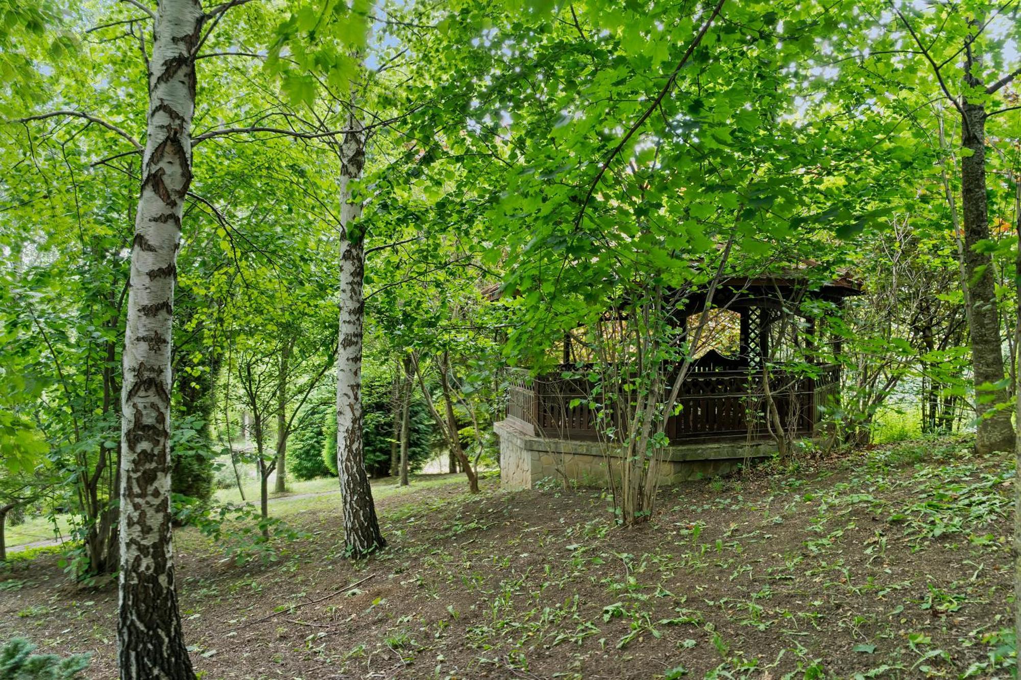 Wine Cellar Villa With Beautiful Garden In Sinaia - Busteni Poiana Tapului Bagian luar foto