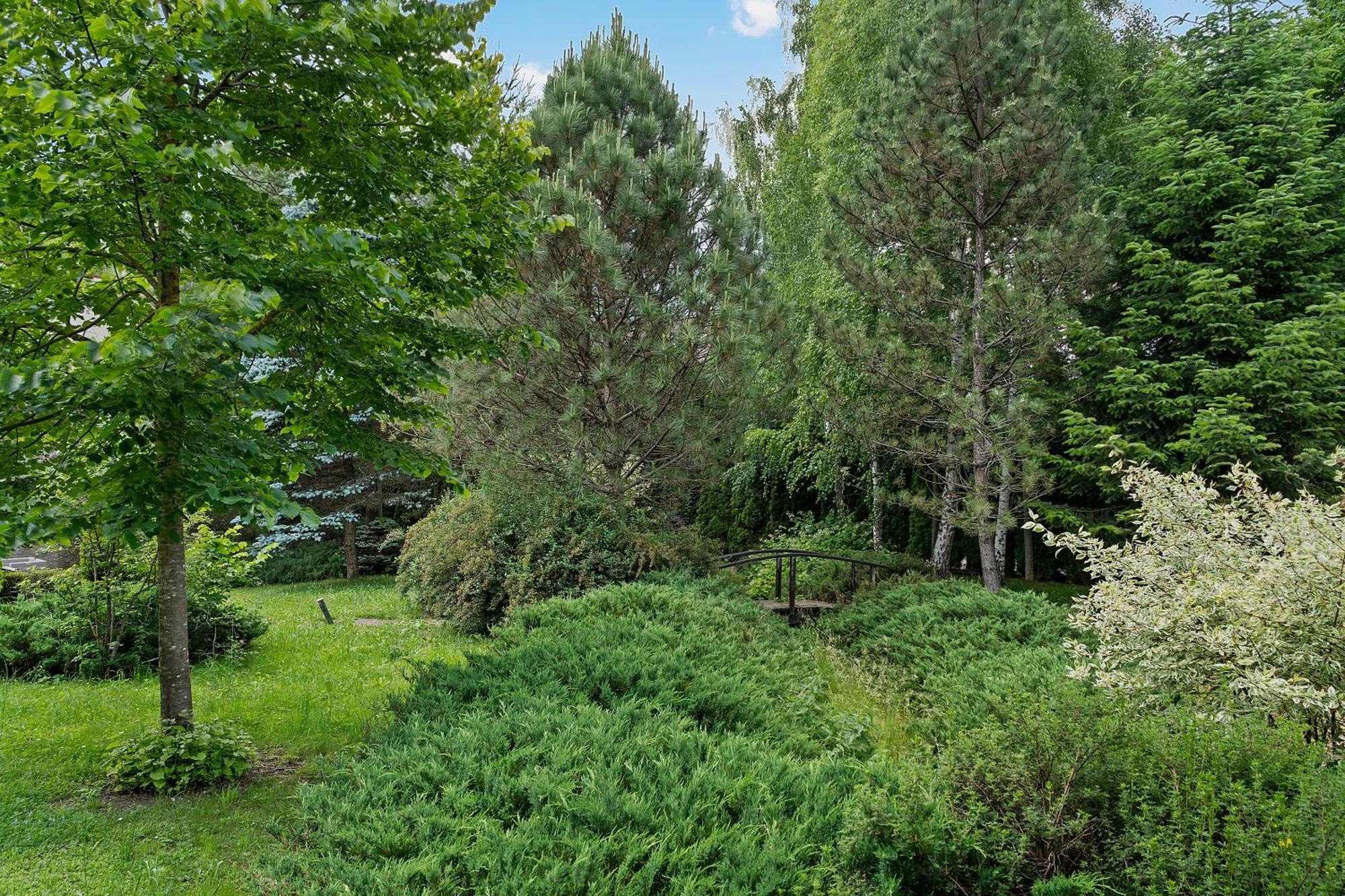 Wine Cellar Villa With Beautiful Garden In Sinaia - Busteni Poiana Tapului Bagian luar foto