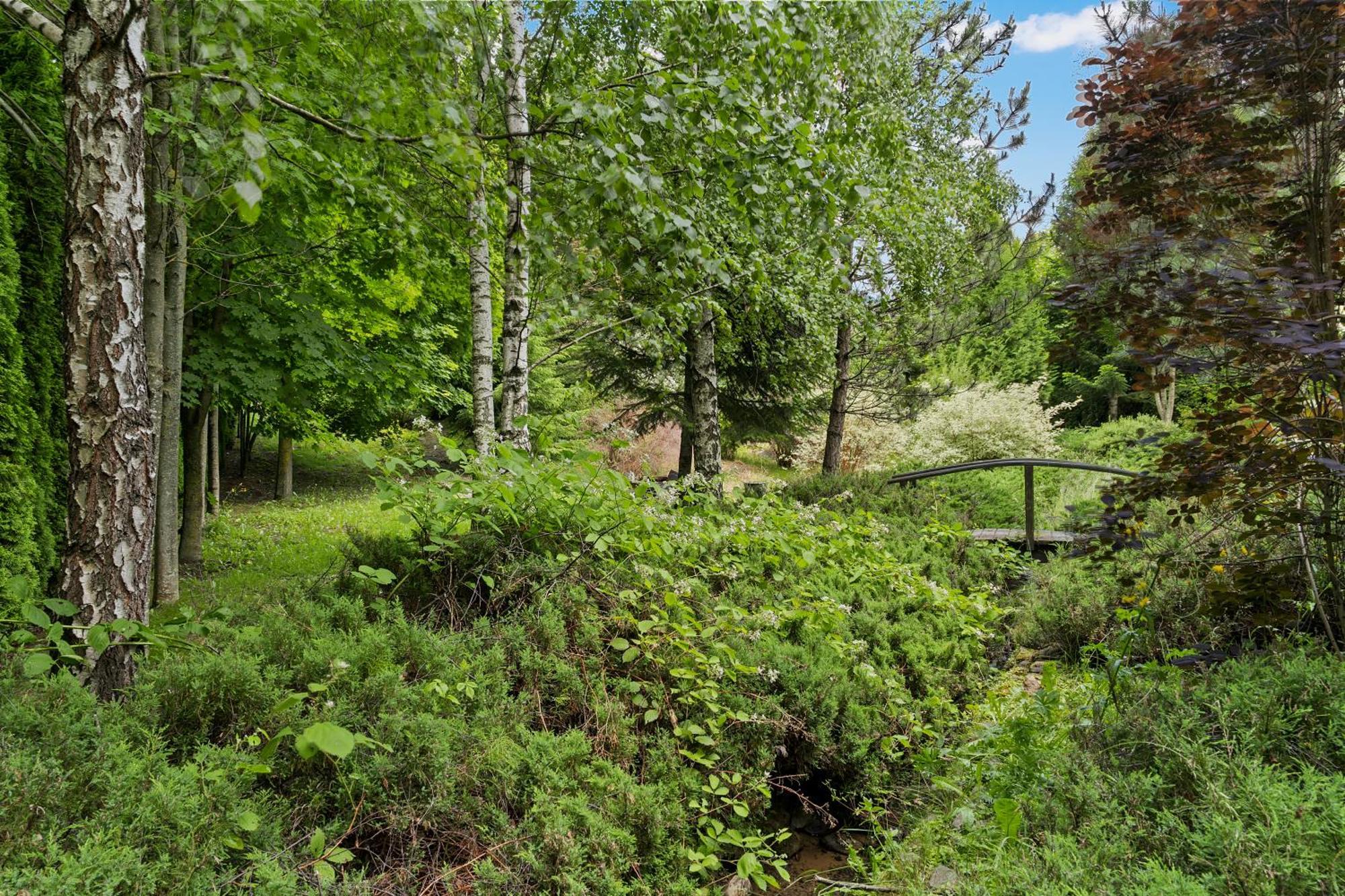 Wine Cellar Villa With Beautiful Garden In Sinaia - Busteni Poiana Tapului Bagian luar foto